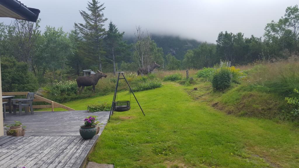 Holiday Home Lofoten Lyngvaeret Luaran gambar